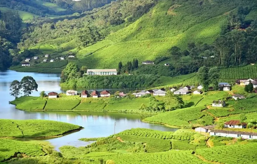 LGBTQ+ Friendly Kerala Backwaters & Houseboat Tour | Gay & Lesbian Kerala Private Tour India