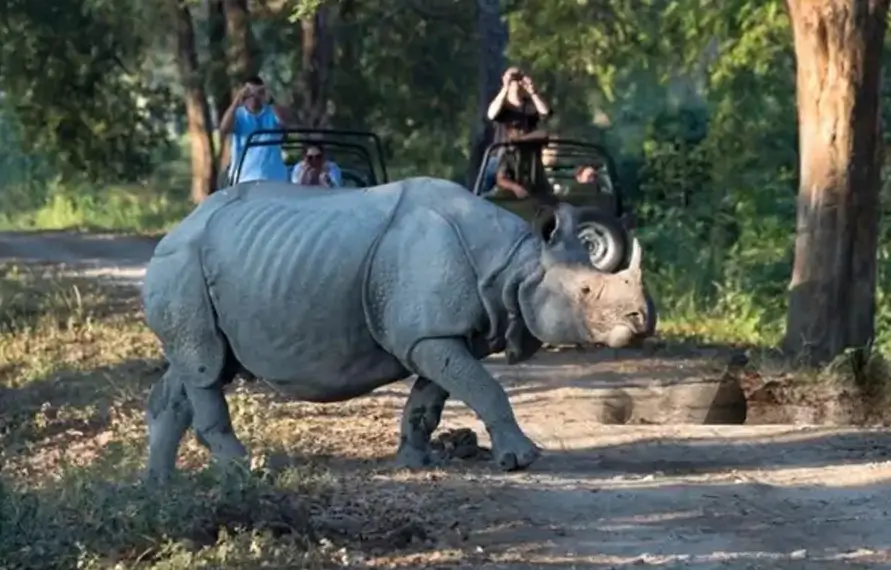 Kaziranga Safari and Meghalaya Adventure Tour