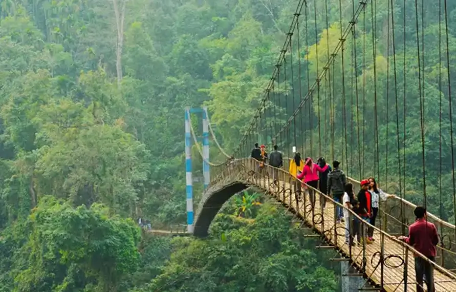 Kaziranga Safari and Meghalaya Adventure Tour
