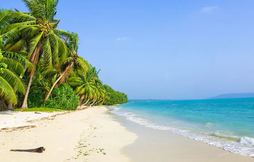 Luxury Andaman Honeymoon Package