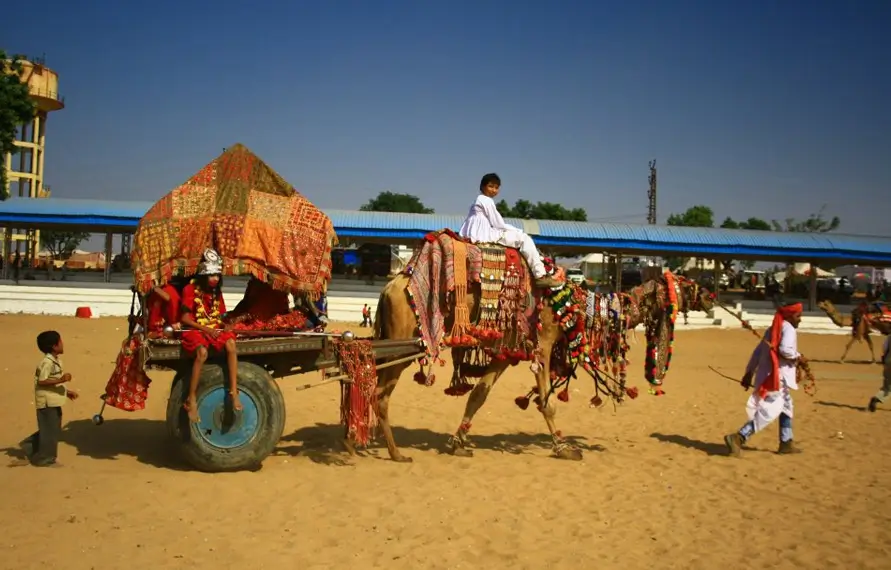 Royal Rajasthan Art & Craft Trail
