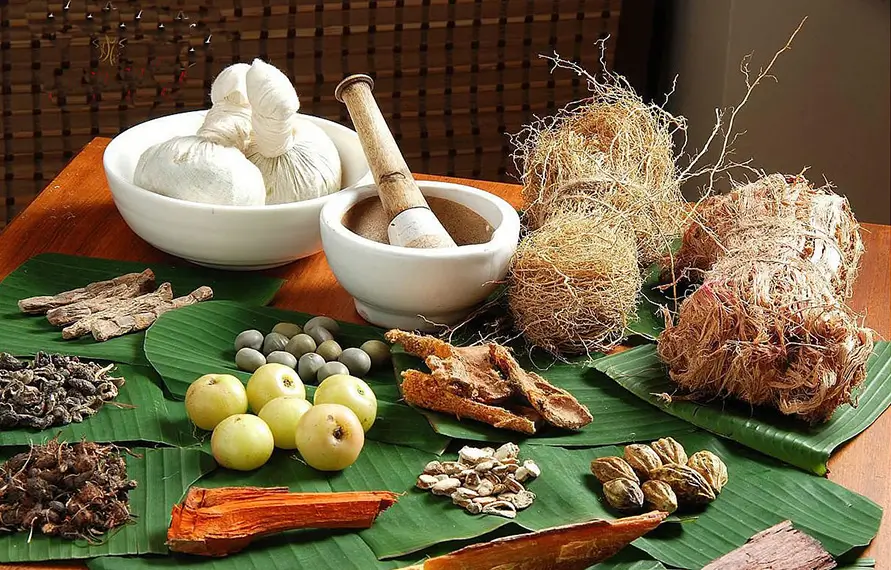 Ayurveda Tour in India | 2 Nights 3 Days Kerala Ayurveda Package