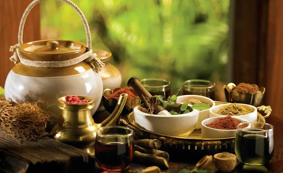 Kerala Ayurveda and Wellness Luxury Tour