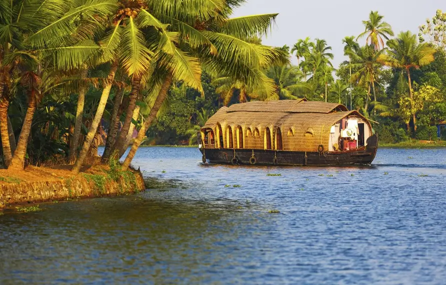 Luxury South India Culinary Tour