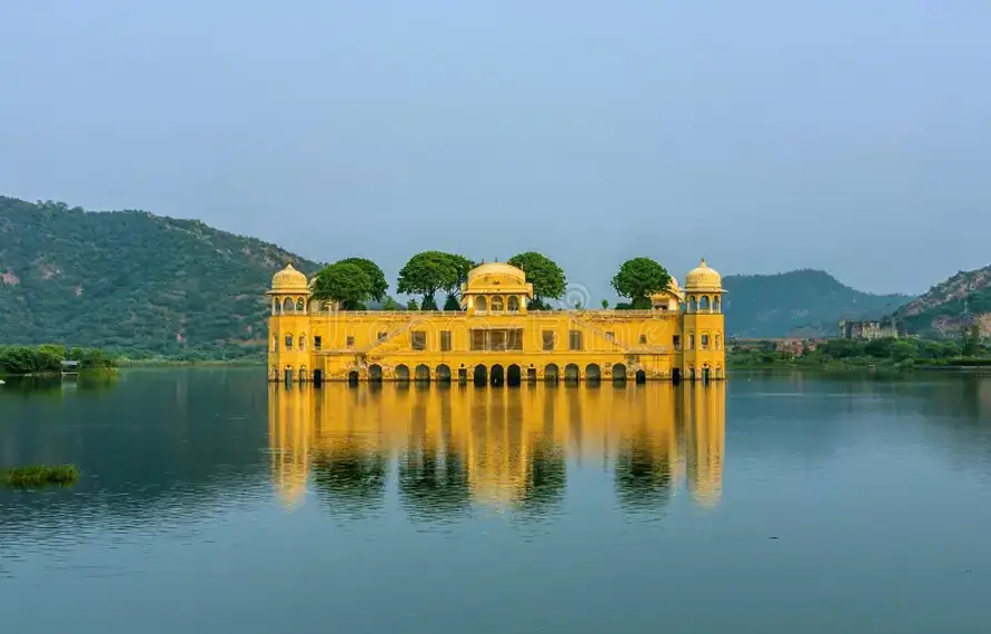Gay Travel Rajasthan with Ranthambore Tiger Safari | LGBTQ+ India Wildlife & Royal Tour
