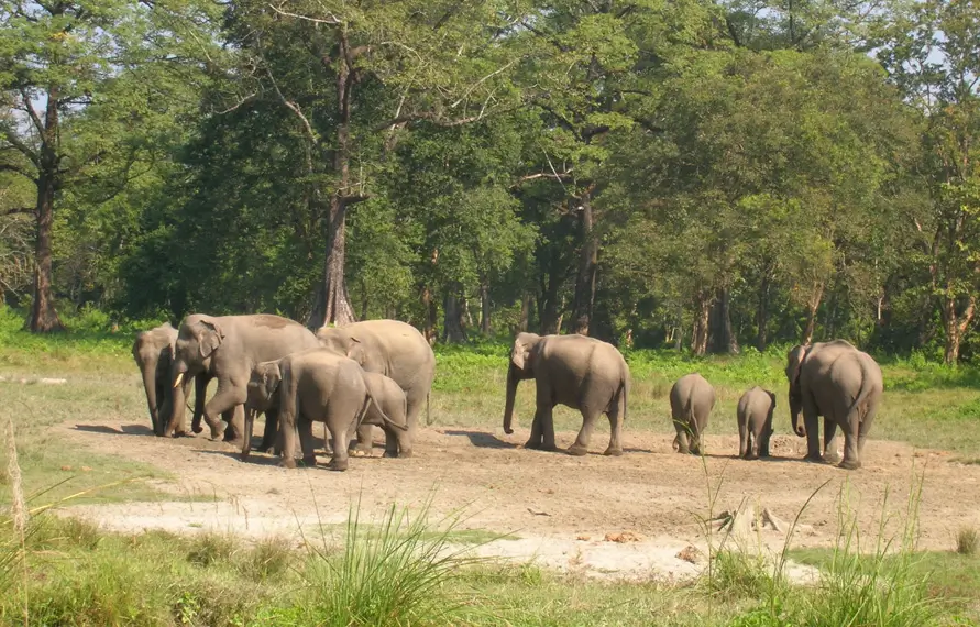 Kerala Luxury Wellness Tour