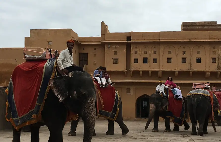 Golden Triangle Tour with Elephant Sanctuary Jaipur