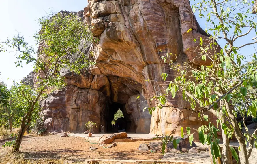 Wildlife Central India Tour