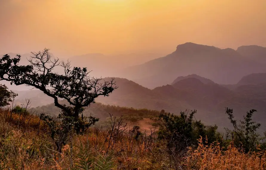 Wildlife Central India Tour