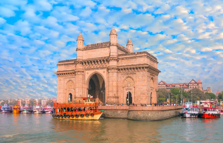 India Jungle Safari Tour