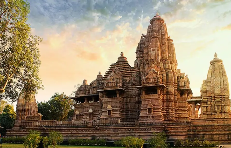 India Jungle Safari Tour