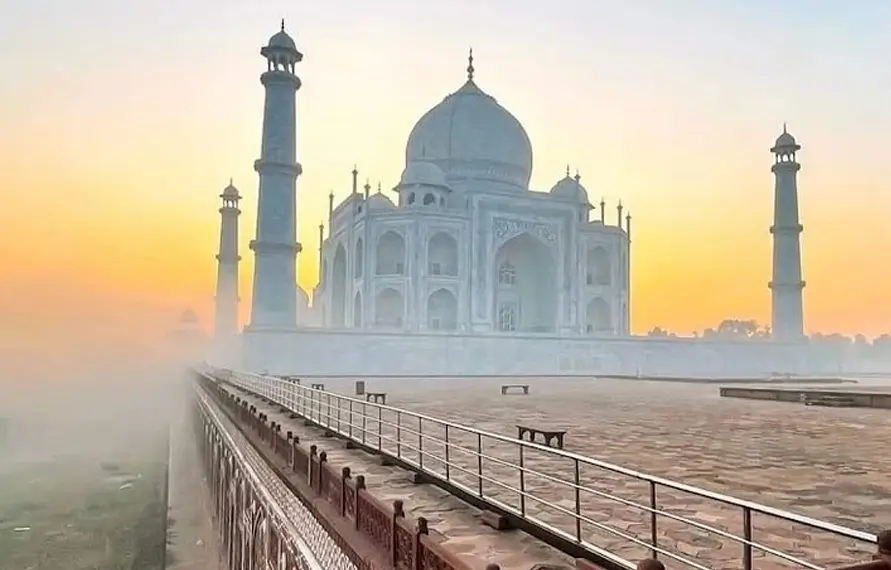 India Jungle Safari Tour