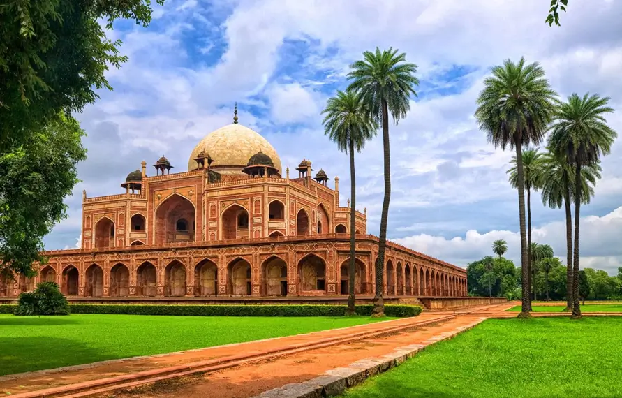 India Wildlife Safari