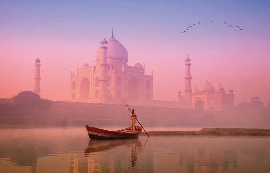 India Wildlife Safari