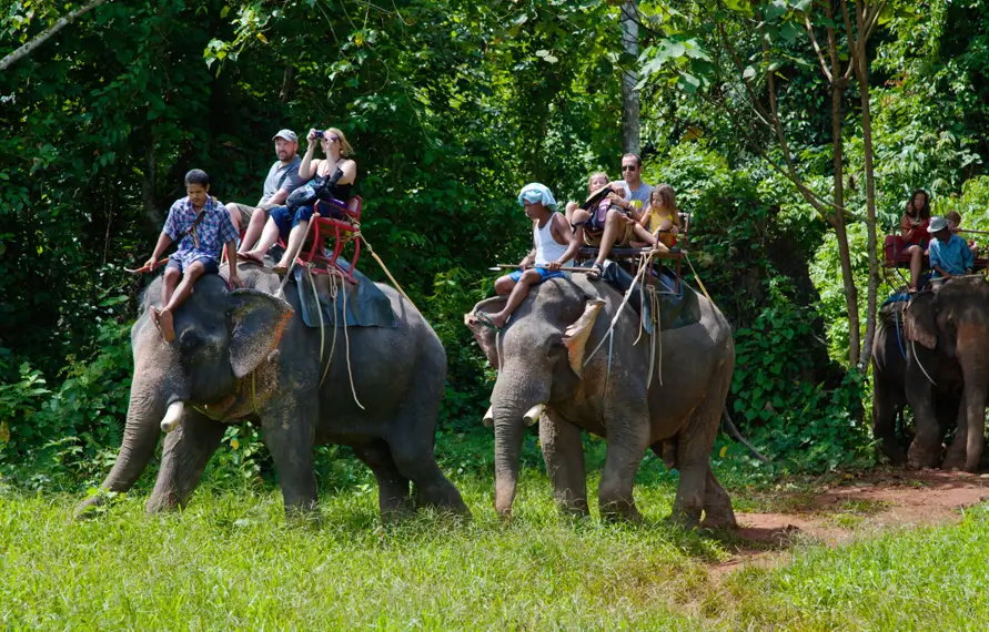 North India Wildlife Tour with Tiger Safari India