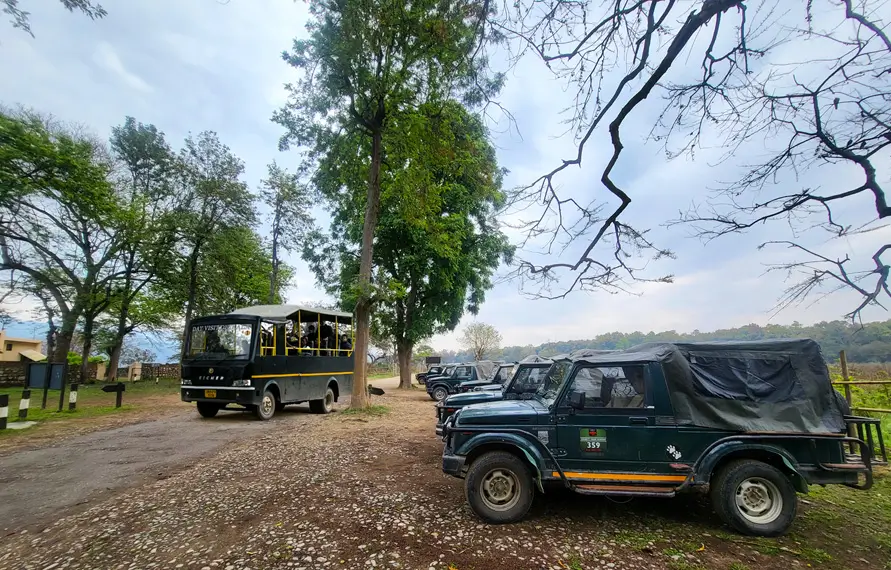 Jim Corbett Wildlife Tour Packages Tiger Safari