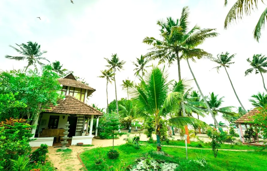 Kerala Ayurveda and Wellness Luxury Tour