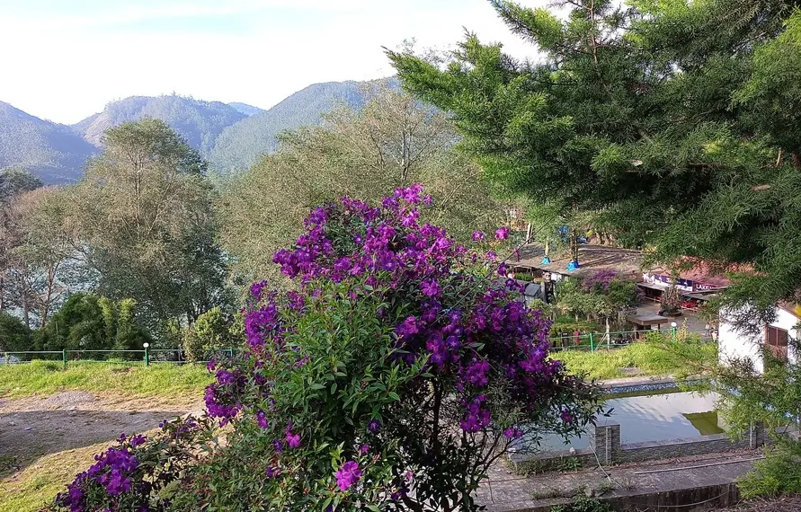 Miracles Kerala Tour Package, 7nights 8days Miracles Kerala Tour, Miracles Kerala Tour