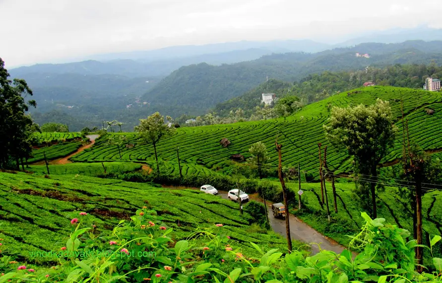 Luxury South India Slow Travel Tour