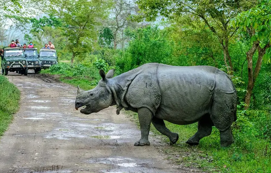 Meghalaya and Assam Nature Tour