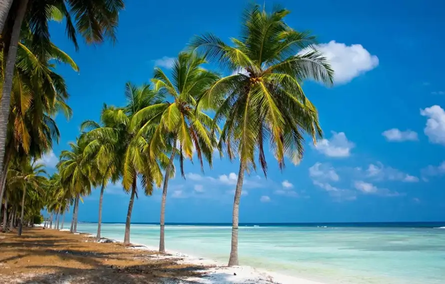 Lakshadweep Ultra Luxury Island Tour