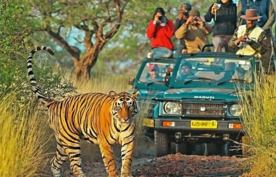 Luxury Kaleidoscope: Immersive Experiences in India's Treasures