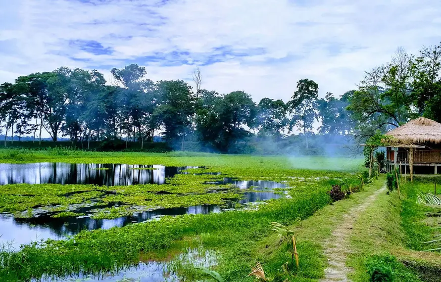 north-east-india-tea-gardens-wildlife-tour