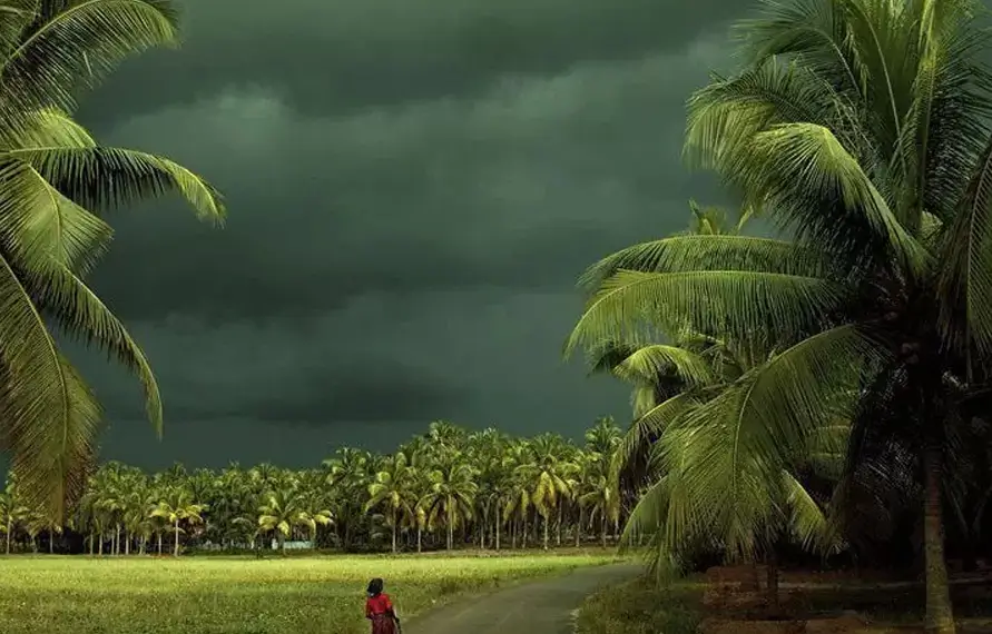Luxury South India Monsoon Tour