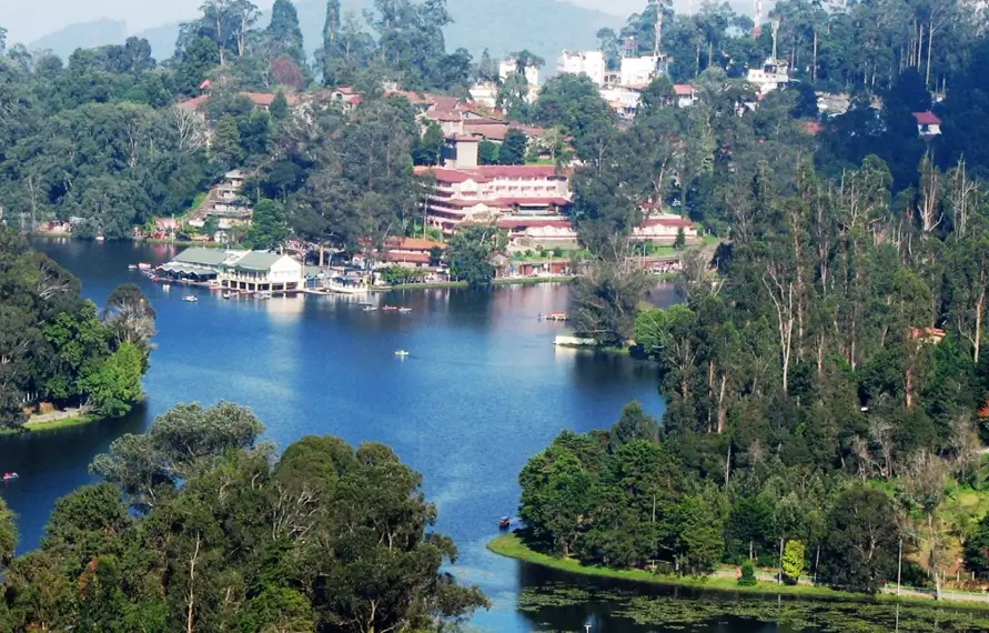 South India Hill Stations Luxury Tour