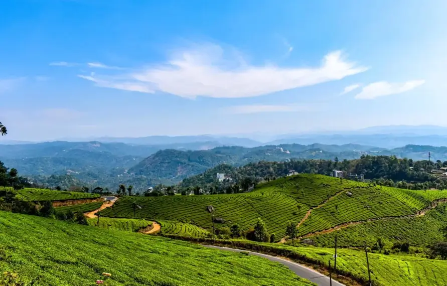 South India Hill Stations Luxury Tour