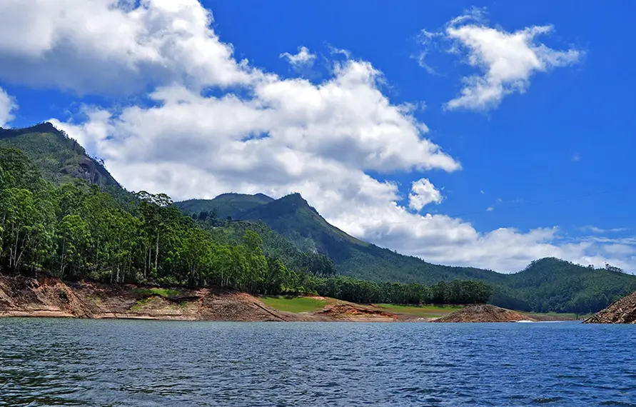 South India Coffee Plantation and Nature Tour