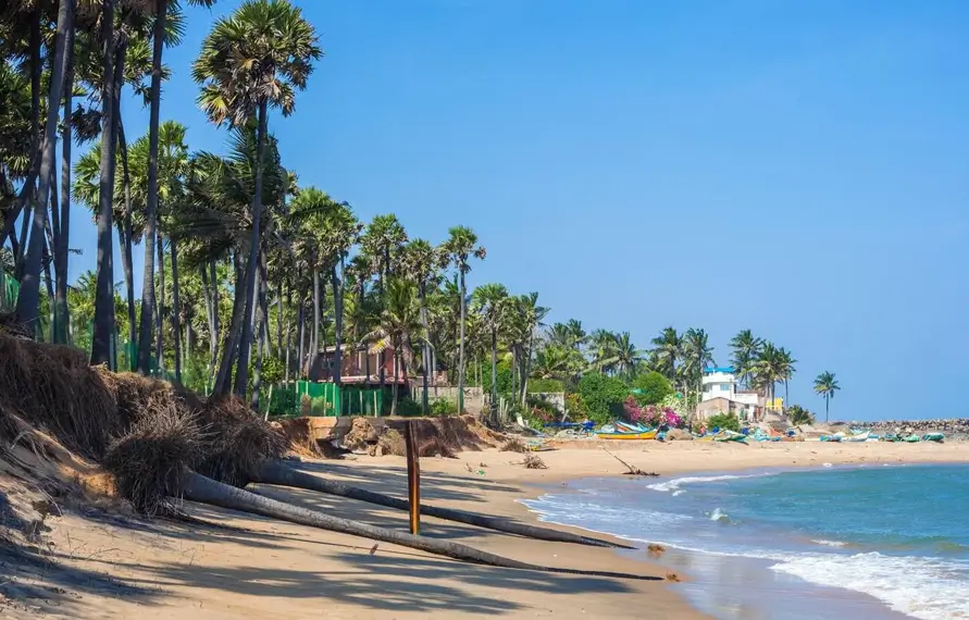 South India Luxury Couple Tour Package