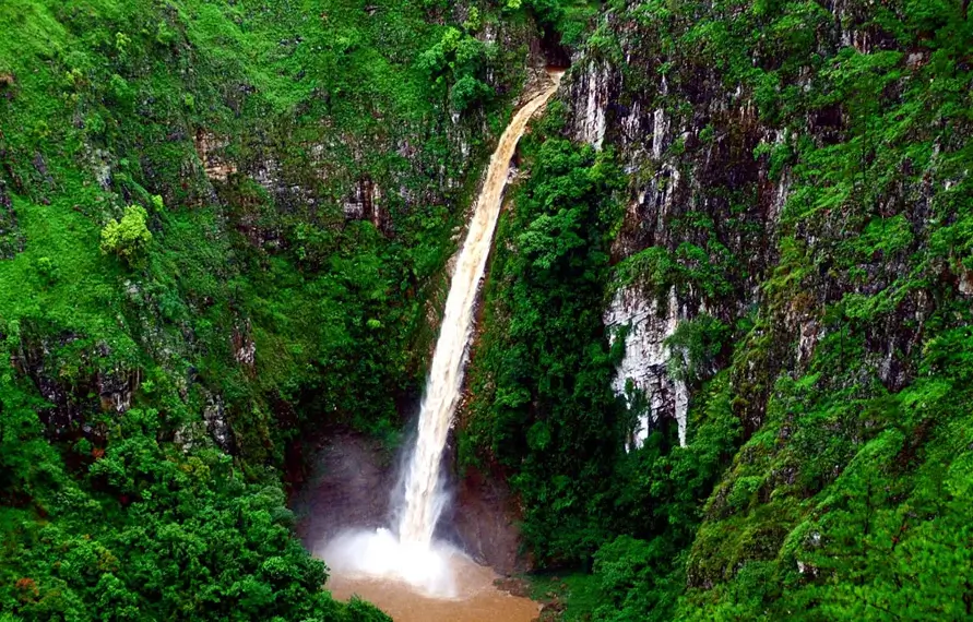 meghalaya-waterfalls-living-root-bridges-tour