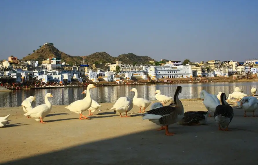 Golden Triangle Mother Daughter Tour India