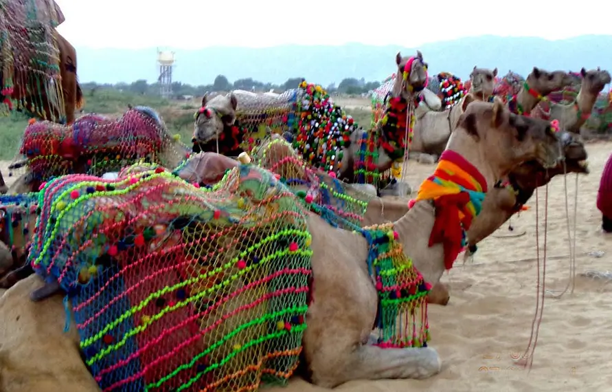 Rajasthan with Varanasi Tours- Top Indian Holidays