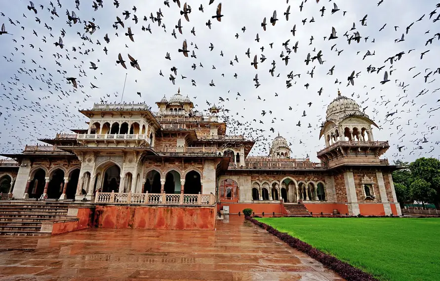 Desert Safari in Rajasthan