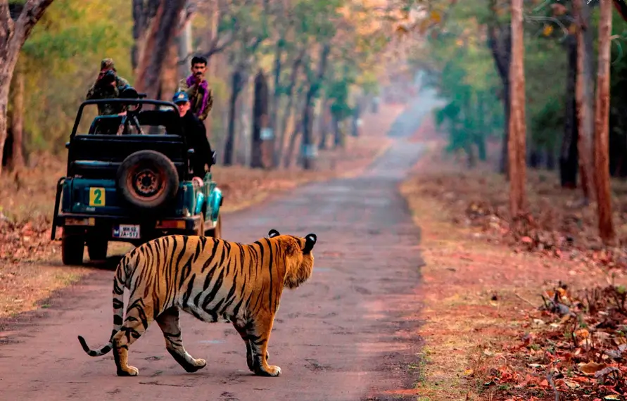 Luxury in North India Tour