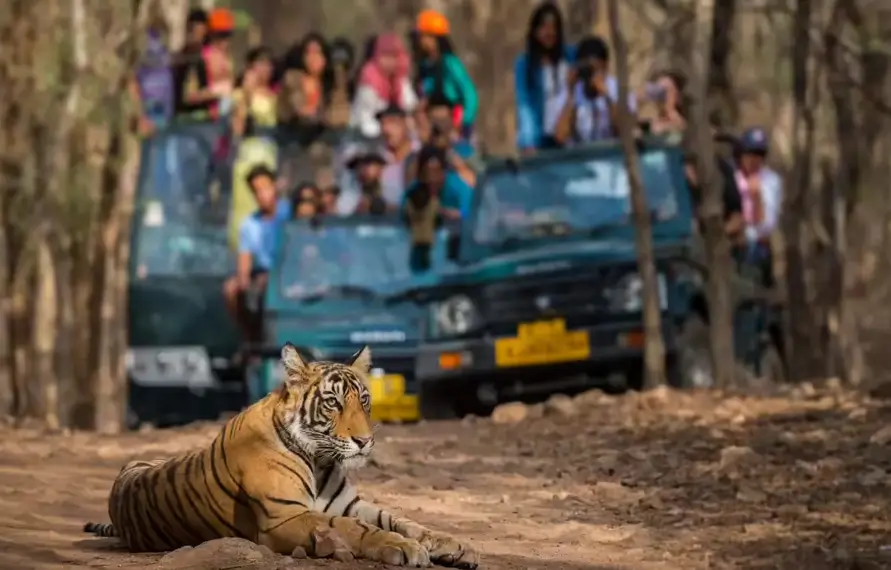 Ultra Luxury Rajasthan Tour