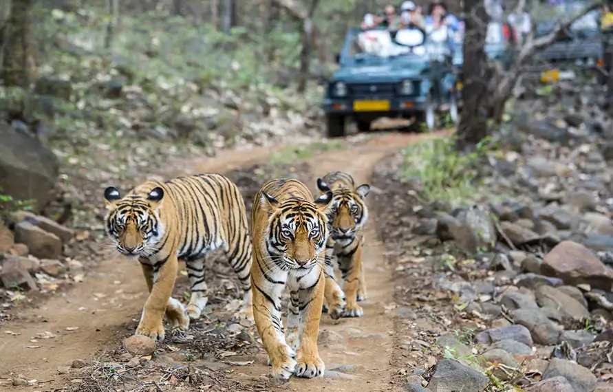 tour packages to rajasthan from Mumbai, rajasthan tours from Mumbai