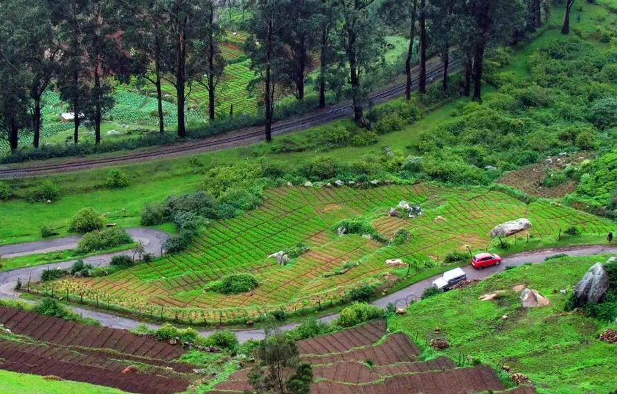 South India Luxury Road Trip Tour