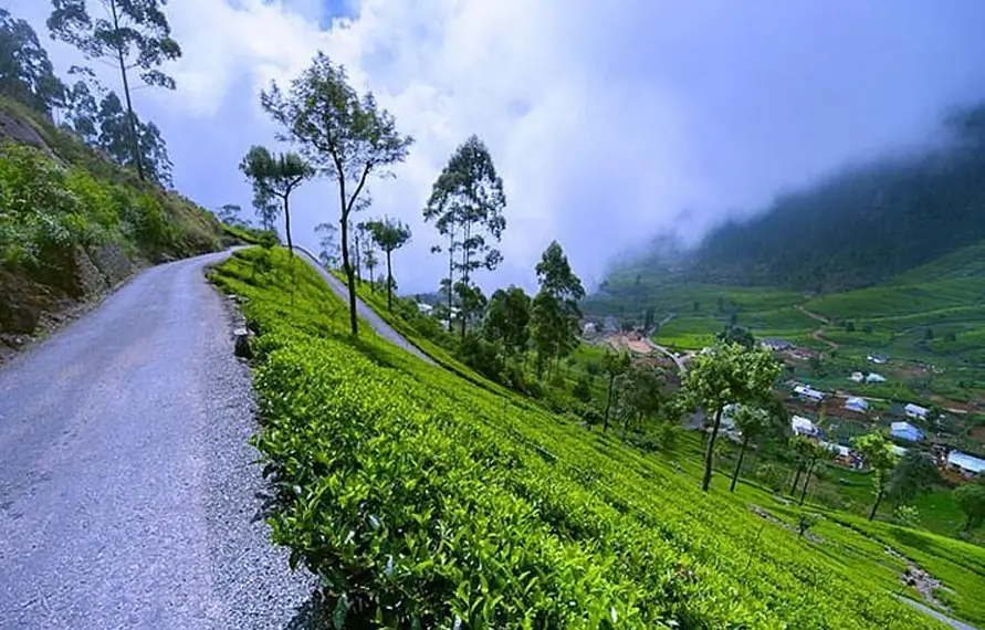Kerala Luxury Wellness Tour