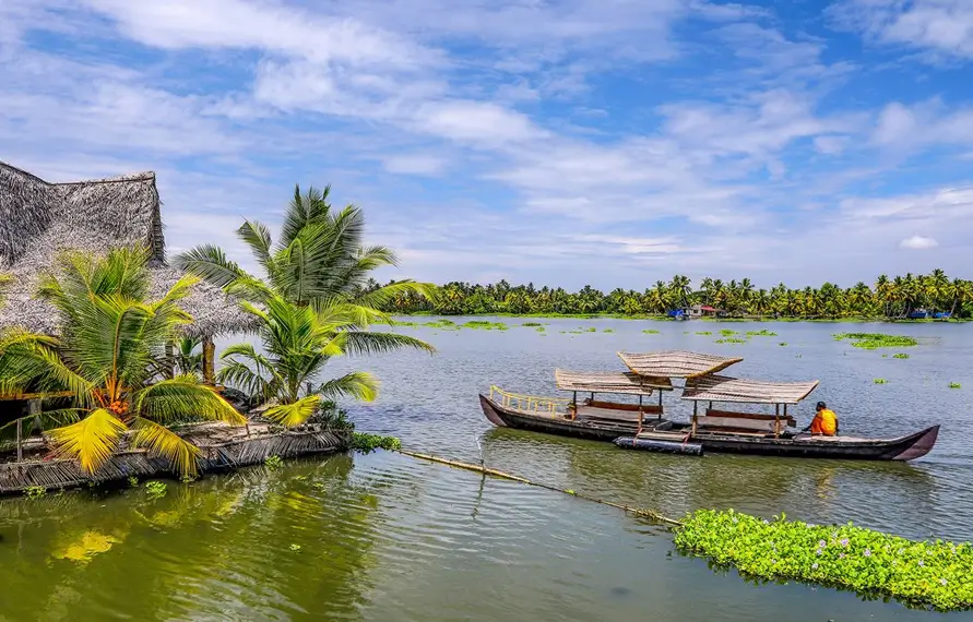 South India Tribal and Rural Experience Tour