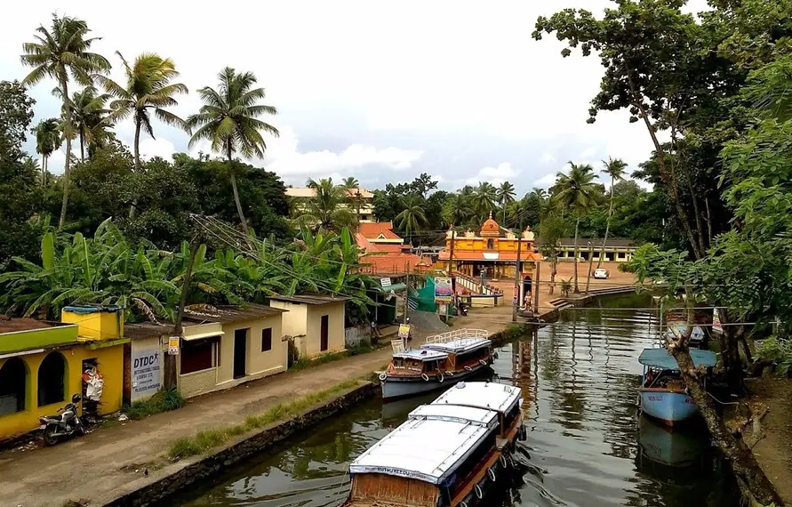 South India Tribal and Rural Experience Tour