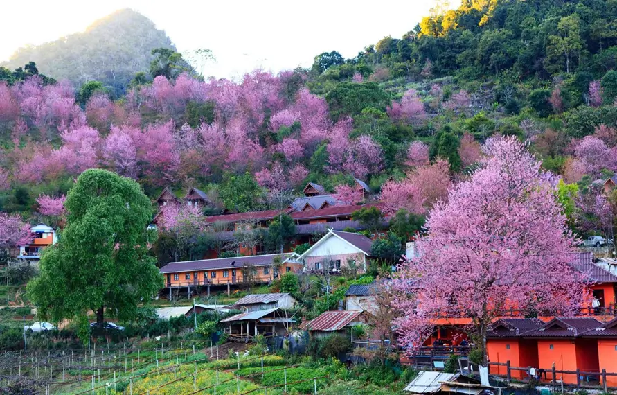 Complete North East India Panorama Tour