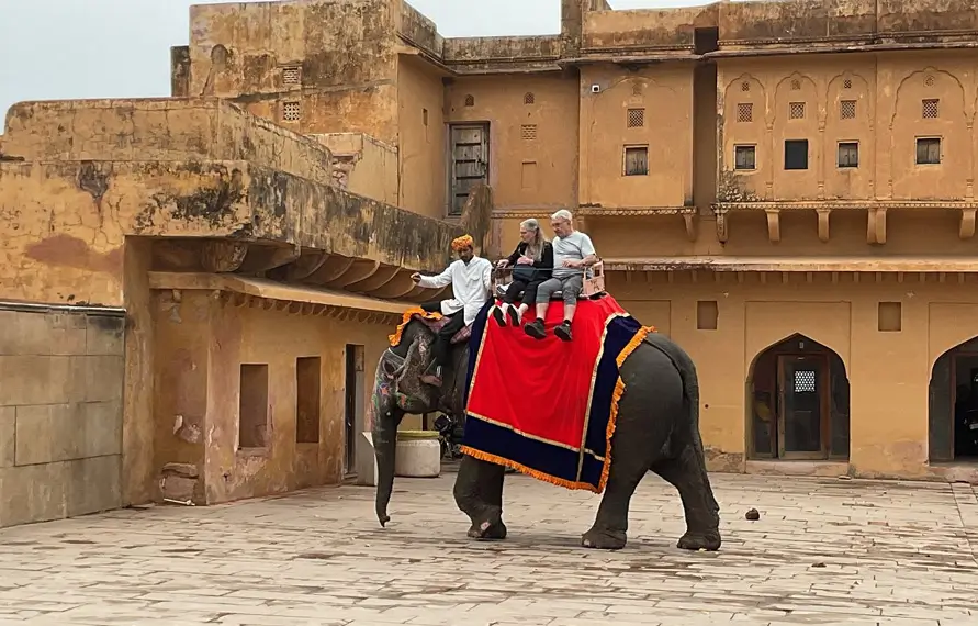 Golden Triangle Tour with Horse Safari