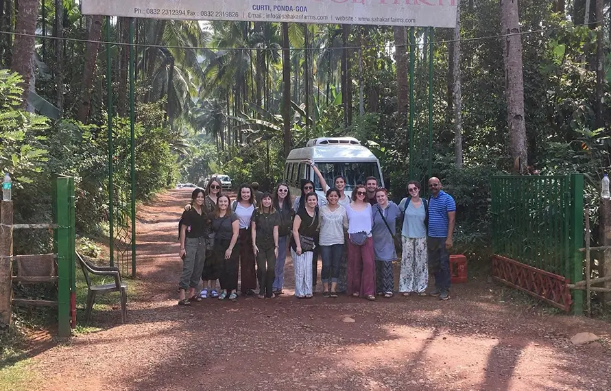 Luxury South India Culinary Tour