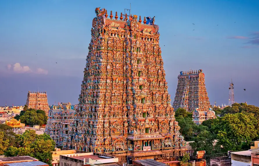 Tailor Made India: Mysteries of the South