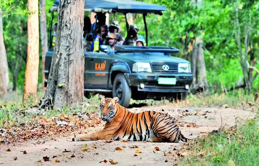 Cultural India Wildlife Tour with Tiger Safari Trip