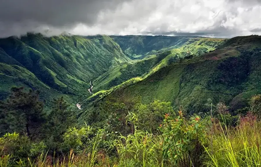 North East India Wildlife and Nature Tour