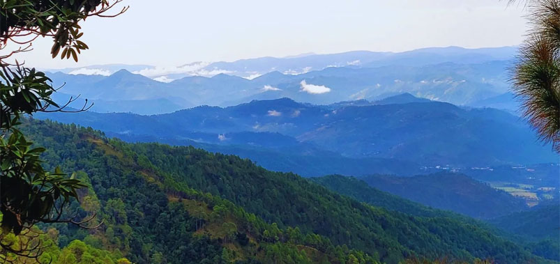 Binsar